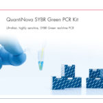 iPad Product Profile
